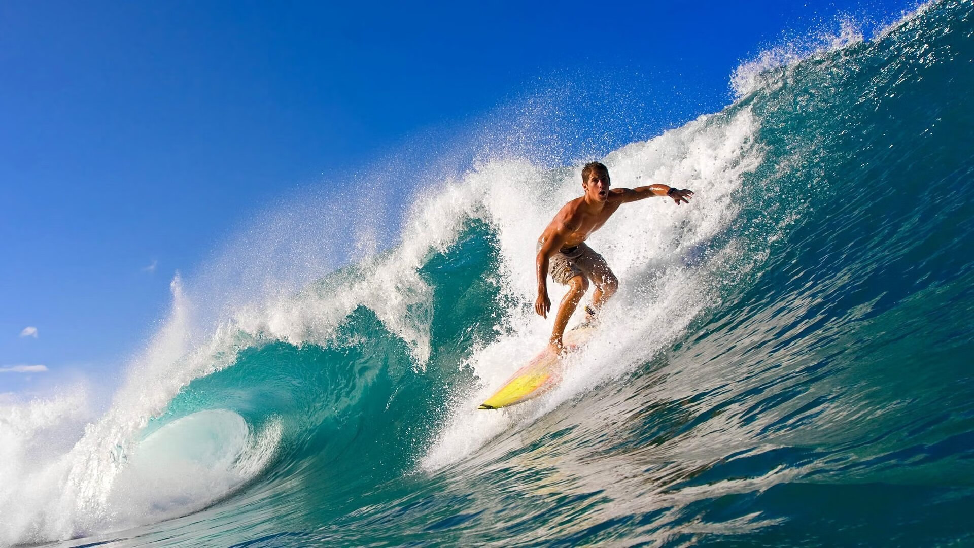 张伟丽与小朋友互动推广格斗运动,张伟丽格斗集锦