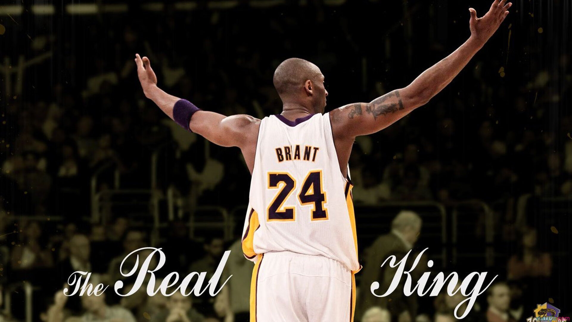 格斗UFC：顶级对决火爆全场，精彩不断！，ufc顶尖高手